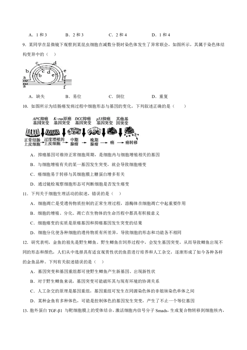 《四川省眉山市彭山区第一中学2025-2026学年高一下学期5月阶段检测生物试卷(扫描版含答案)_2024-2027高一（7-7月题库）(1)_2026年06月高一试卷》第4页预览