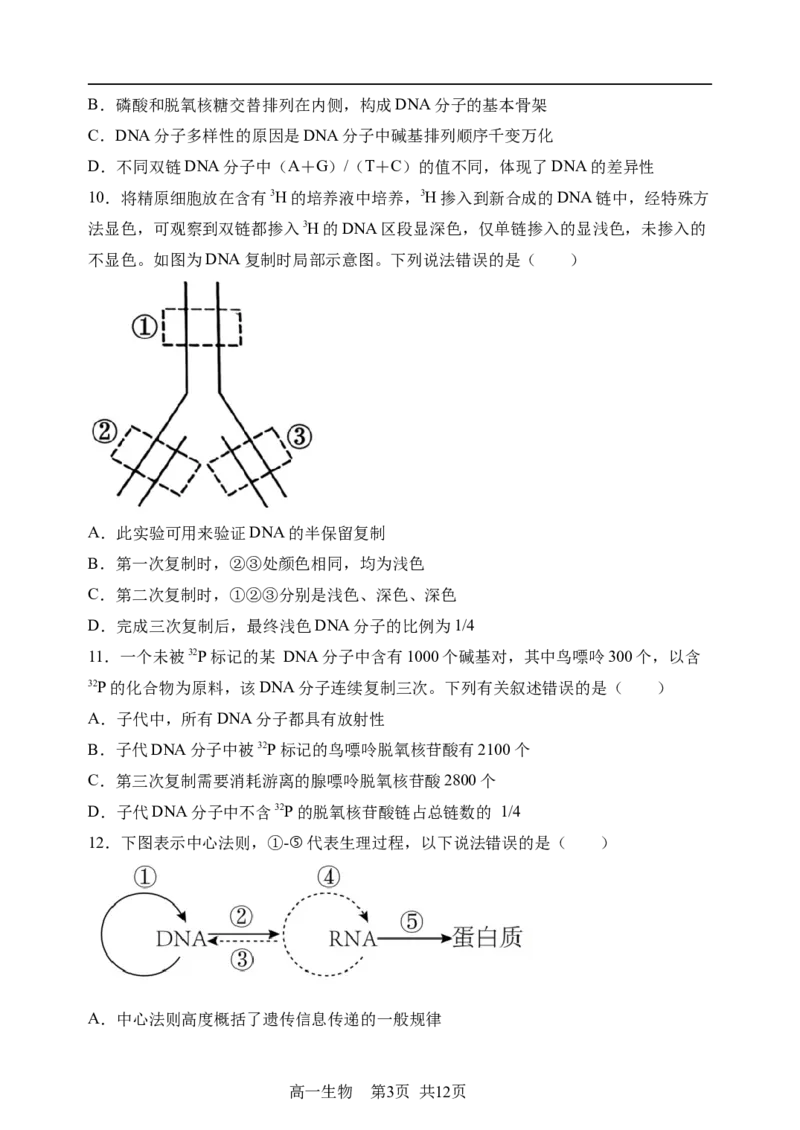 《哈三中2025—2026学年度下学期高一学年6月月考（选考）生物_2024-2027高一（7-7月题库）(1)_2026年06月高一试卷_260612黑龙江省哈尔滨市第三中学2025-2026学年度下学期高一学年6月月考（全）》第3页预览