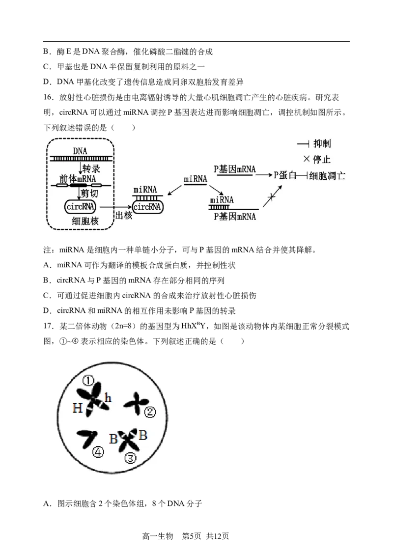 《哈三中2025—2026学年度下学期高一学年6月月考（选考）生物_2024-2027高一（7-7月题库）(1)_2026年06月高一试卷_260612黑龙江省哈尔滨市第三中学2025-2026学年度下学期高一学年6月月考（全）》第5页预览