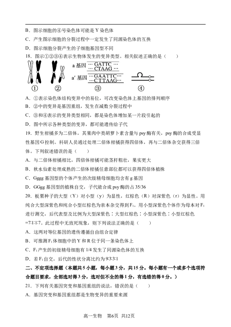 《哈三中2025—2026学年度下学期高一学年6月月考（选考）生物_2024-2027高一（7-7月题库）(1)_2026年06月高一试卷_260612黑龙江省哈尔滨市第三中学2025-2026学年度下学期高一学年6月月考（全）》第6页预览