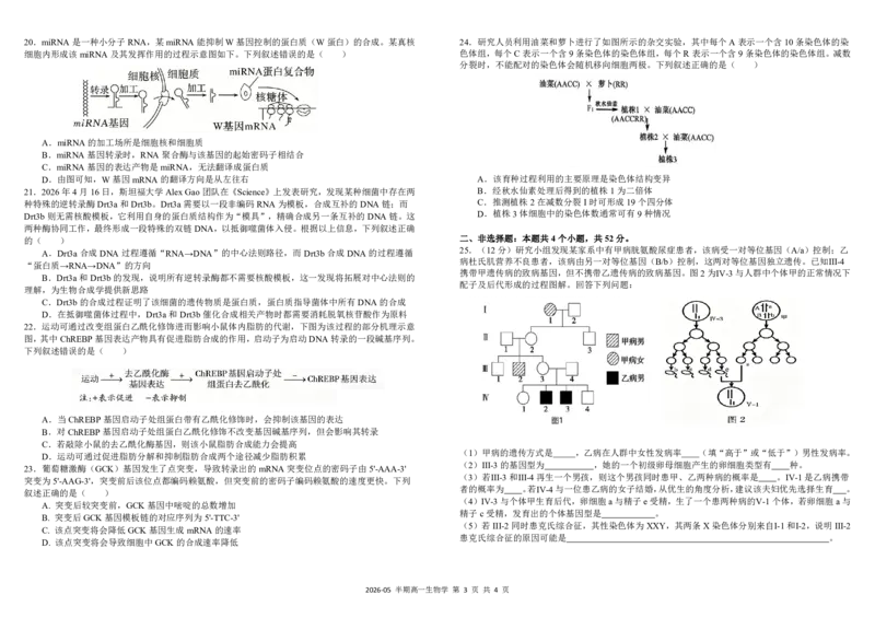 《四川省树德中学2025-2026学年高一下学期5月期中考试生物PDF版含答案（可编辑）_2024-2027高一（7-7月题库）(1)_2026年05月高一试卷》第3页预览