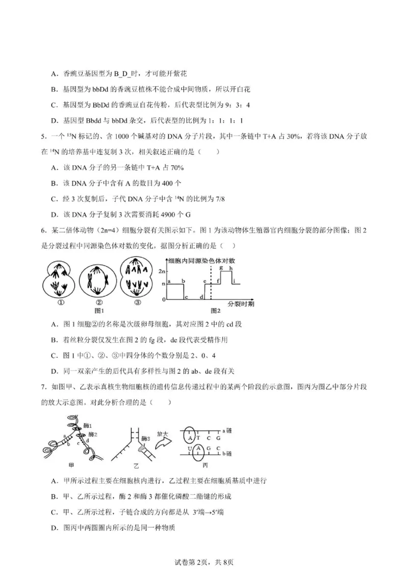 《四川省仪陇中学校2025—2026学年高一下学期期中考试生物生物试卷_2024-2027高一(7-7月题库)(1)_2026年05月高一试卷_260522四川省南充市仪陇中学2025-2026学年高一下学期5月期中考试(全)》第2页预览