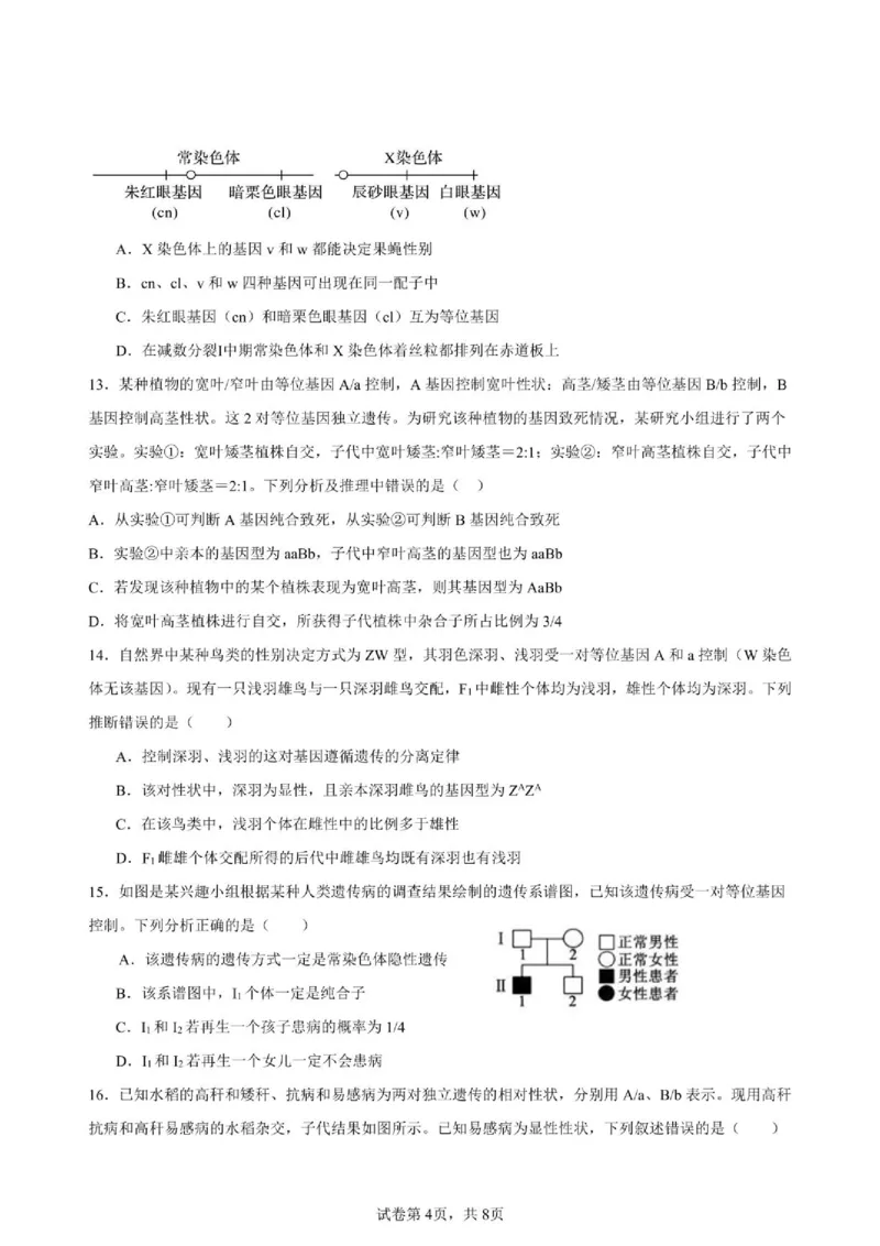 《四川省仪陇中学校2025—2026学年高一下学期期中考试生物生物试卷_2024-2027高一(7-7月题库)(1)_2026年05月高一试卷_260522四川省南充市仪陇中学2025-2026学年高一下学期5月期中考试(全)》第4页预览