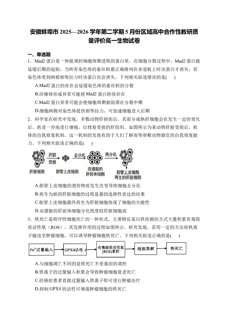 《安徽省蚌埠市2025-2026学年高一下学期5月区域高中合作性教研质量评价试题生物Word版含解析_2024-2027高一（7-7月题库）(1)_2026年06月高一试卷》第1页预览