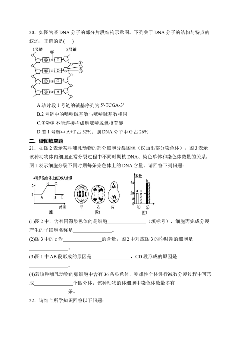 《安徽省蚌埠市2025-2026学年高一下学期5月区域高中合作性教研质量评价试题生物Word版含解析_2024-2027高一（7-7月题库）(1)_2026年06月高一试卷》第6页预览
