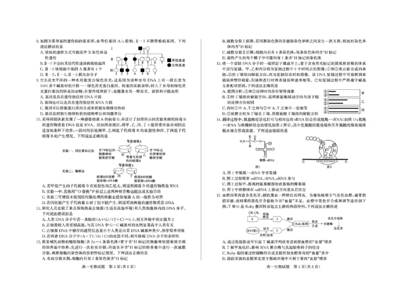 《2026-5高一生物_2024-2027高一（7-7月题库）(1)_2026年05月高一试卷_260516山东德州市2025-2026学年高一下学期期中考试（全）》第2页预览
