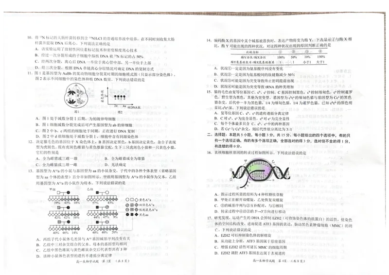 《山东省日照市2025-2026学年高一下学期期中生物试题_2024-2027高一（7-7月题库）(1)_2026年05月高一试卷_260525山东省日照市2025-2026学年高一下学期期中考试》第2页预览