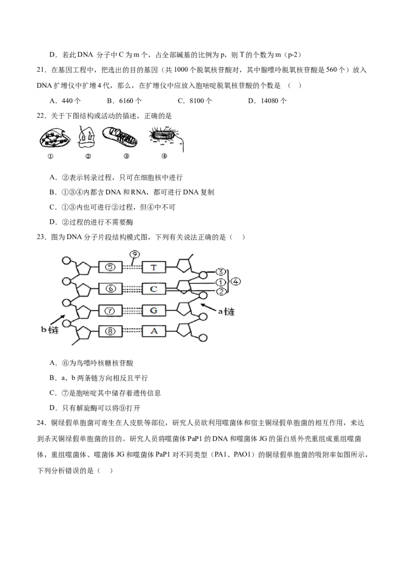 《内蒙古巴彦淖尔市第一中学2025-2026学年高一下学期4月诊断考试生物Word版含答案_2024-2027高一（7-7月题库）(1)_2026年06月高一试卷》第5页预览