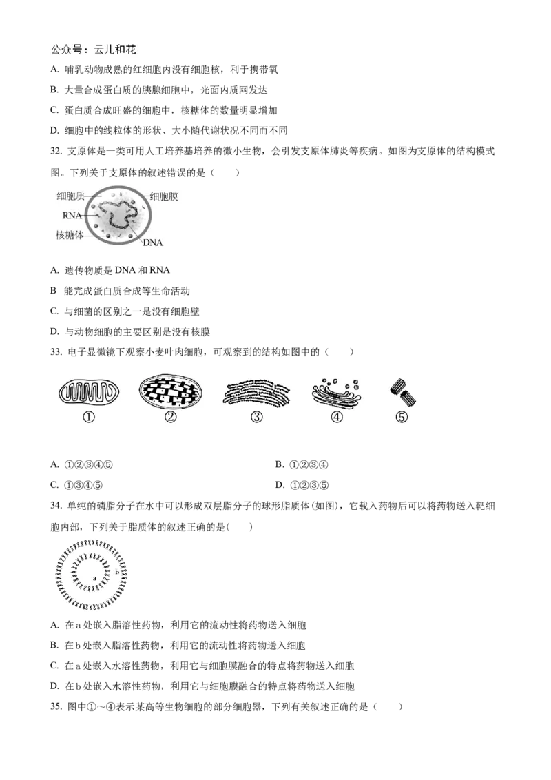 《北京市第十九中学2024-2025学年高一上学期11月期中生物试题Word版无答案_2024-2027高一（7-7月题库）(1)_2024年11月试卷_1113北京市第十九中学2024-2025学年高一上学期11月期中》第6页预览
