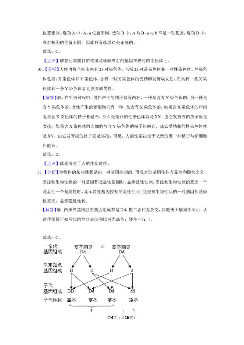 《2019年辽宁省铁岭市中考生物试题（解析）_12.2026年4月全国各地高考模拟卷_2026版初中金考卷•45套中考试卷汇编系列合集_全国版中考真题(1)_辽宁各地中考_辽宁生物（24）_铁岭生物17-22》第4页预览