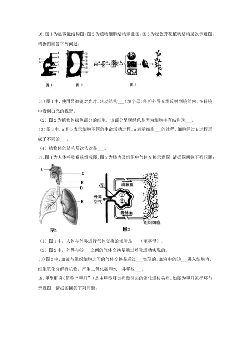 《2019年辽宁省抚顺市中考生物真题及答案_12.2026年4月全国各地高考模拟卷_2026版初中金考卷•45套中考试卷汇编系列合集_全国版中考真题(1)_辽宁各地中考_辽宁生物（24）_抚顺生物2019-20》第3页预览