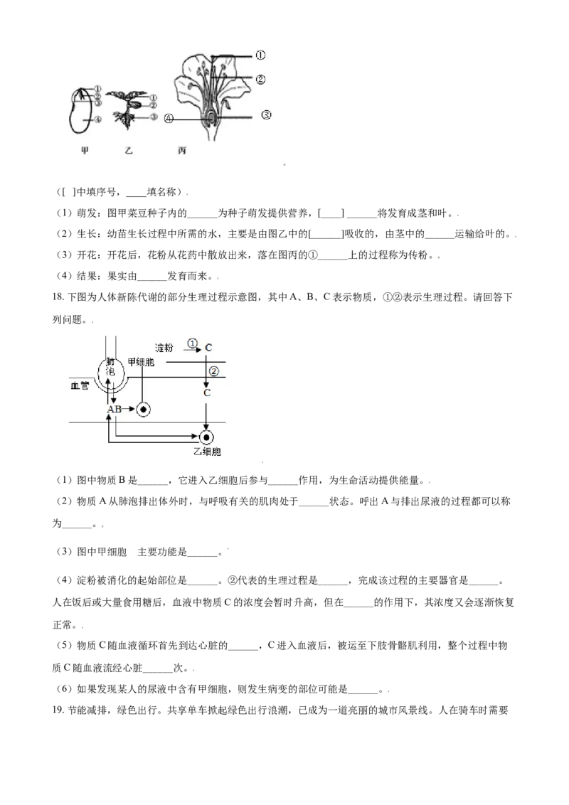 《2019年辽宁省锦州市中考生物试题（空白卷）_12.2026年4月全国各地高考模拟卷_2026版初中金考卷•45套中考试卷汇编系列合集_全国版中考真题(1)_辽宁各地中考_辽宁生物（24）》第4页预览