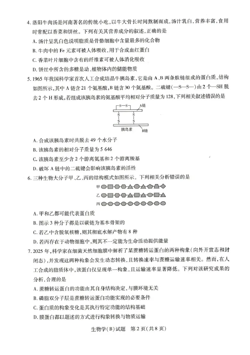 《55810420-河南省豫北名校2025-2026学年高一上学期阶段性测试(二)-生物试卷B_2024-2027高一(7-7月题库)(1)_2026年01月高一试卷_260113河南省豫北名校2025-2026学年高一上学期阶段性测试(二)》第2页预览