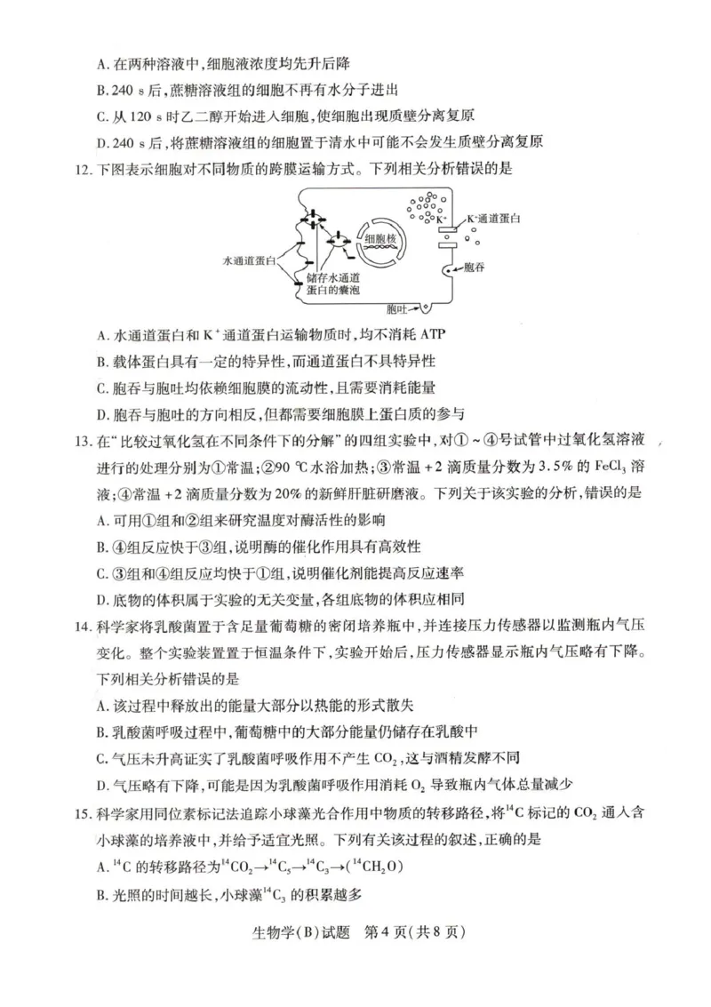《55810420-河南省豫北名校2025-2026学年高一上学期阶段性测试(二)-生物试卷B_2024-2027高一(7-7月题库)(1)_2026年01月高一试卷_260113河南省豫北名校2025-2026学年高一上学期阶段性测试(二)》第4页预览