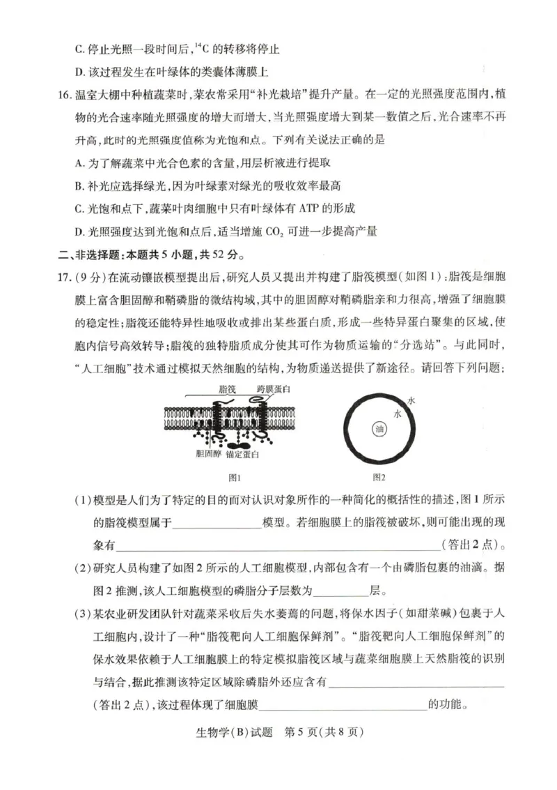 《55810420-河南省豫北名校2025-2026学年高一上学期阶段性测试(二)-生物试卷B_2024-2027高一(7-7月题库)(1)_2026年01月高一试卷_260113河南省豫北名校2025-2026学年高一上学期阶段性测试(二)》第5页预览