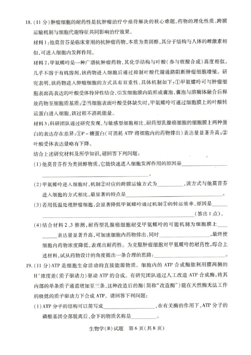 《55810420-河南省豫北名校2025-2026学年高一上学期阶段性测试(二)-生物试卷B_2024-2027高一(7-7月题库)(1)_2026年01月高一试卷_260113河南省豫北名校2025-2026学年高一上学期阶段性测试(二)》第6页预览