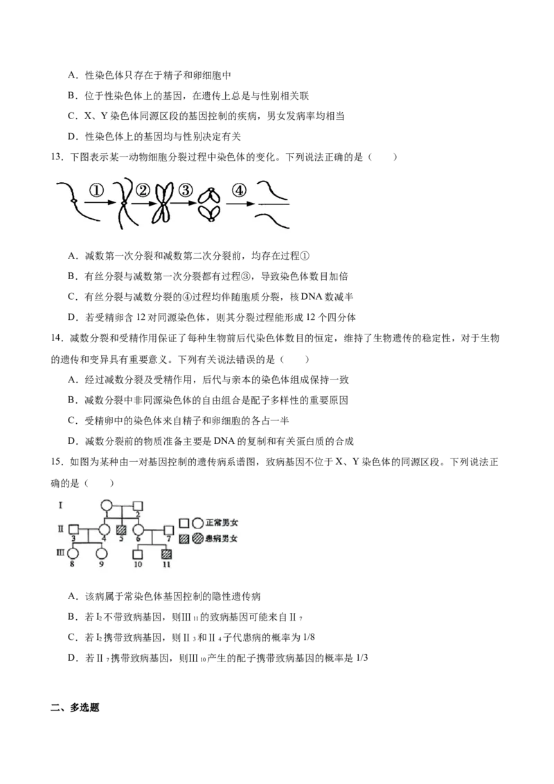 《山东省泰安第一中学2025-2026学年高一下学期4月诊断测试生物Word版含答案_2024-2027高一（7-7月题库）(1)_2026年06月高一试卷》第4页预览