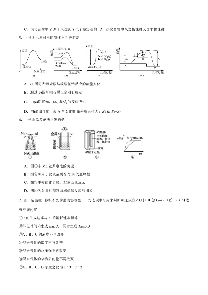 《山东省泰安第一中学2025-2026学年高一下学期4月诊断测试化学试卷（图片版，含答案）_2024-2027高一（7-7月题库）(1)_2026年06月高一试卷》第2页预览