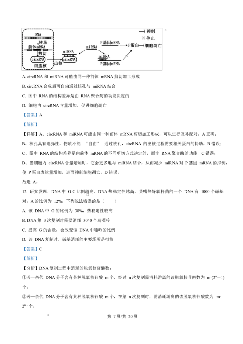 《四川省内江市威远中学2025-2026学年高一下学期期中学情调研生物试题Word版含解析_2024-2027高一（7-7月题库）(1)_2026年06月高一试卷》第7页预览