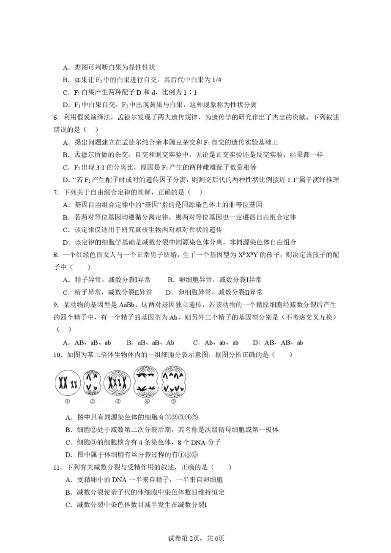 《安徽省六安市独山中学2025-2026学年高一下学期5月期中生物试题(扫描版含答案)_2024-2027高一（7-7月题库）(1)_2026年06月高一试卷_260608安徽省六安市独山中学2025-2026学年高一下学期5月期中》第2页预览