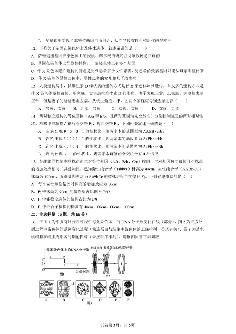 《安徽省六安市独山中学2025-2026学年高一下学期5月期中生物试题(扫描版含答案)_2024-2027高一（7-7月题库）(1)_2026年06月高一试卷_260608安徽省六安市独山中学2025-2026学年高一下学期5月期中》第3页预览