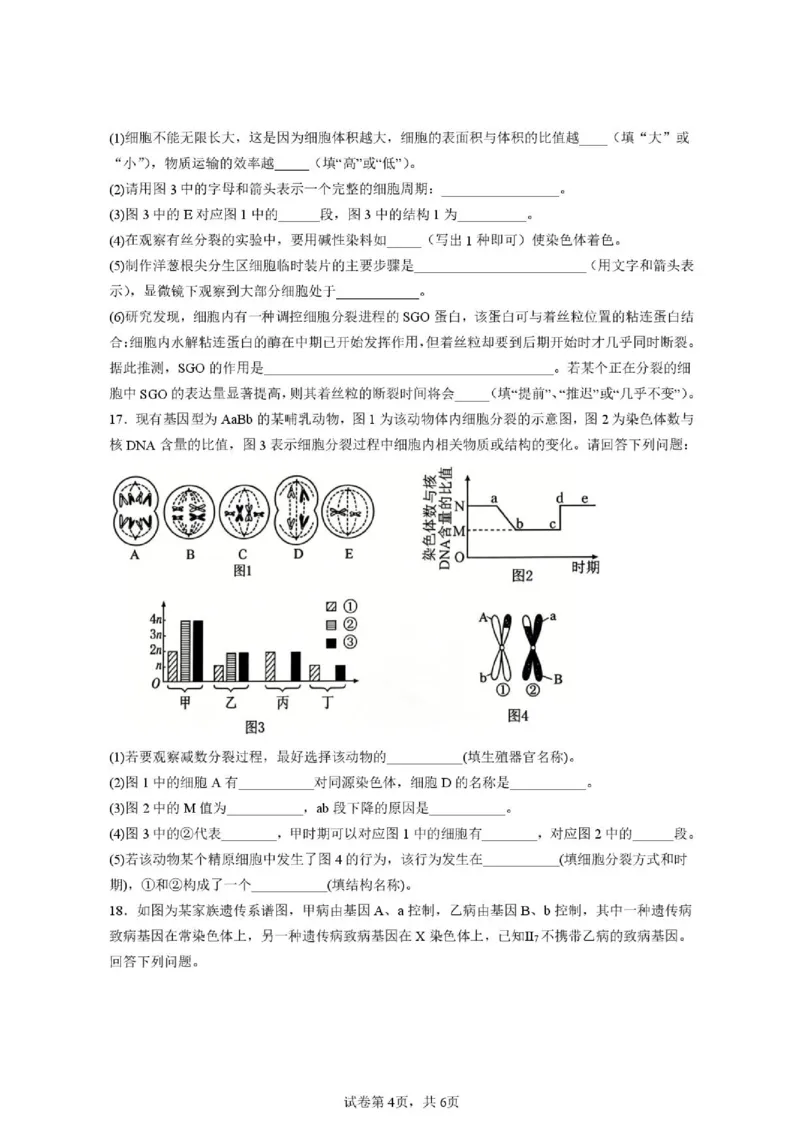 《安徽省六安市独山中学2025-2026学年高一下学期5月期中生物试题(扫描版含答案)_2024-2027高一（7-7月题库）(1)_2026年06月高一试卷_260608安徽省六安市独山中学2025-2026学年高一下学期5月期中》第4页预览