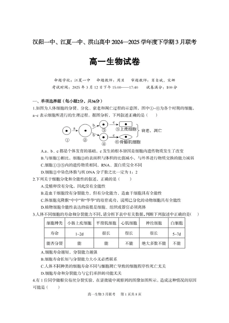 《6一中高一生物_2024-2027高一（7-7月题库）(1)_2025年03月试卷_0324湖北省武汉市蔡甸区汉阳一中、江夏区第一中学、洪山高级中学2024-2025学年高一下学期3月联考》第1页预览
