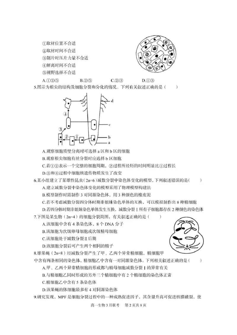 《6一中高一生物_2024-2027高一（7-7月题库）(1)_2025年03月试卷_0324湖北省武汉市蔡甸区汉阳一中、江夏区第一中学、洪山高级中学2024-2025学年高一下学期3月联考》第2页预览