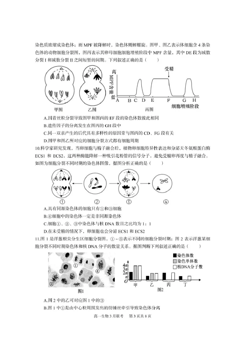《6一中高一生物_2024-2027高一（7-7月题库）(1)_2025年03月试卷_0324湖北省武汉市蔡甸区汉阳一中、江夏区第一中学、洪山高级中学2024-2025学年高一下学期3月联考》第3页预览