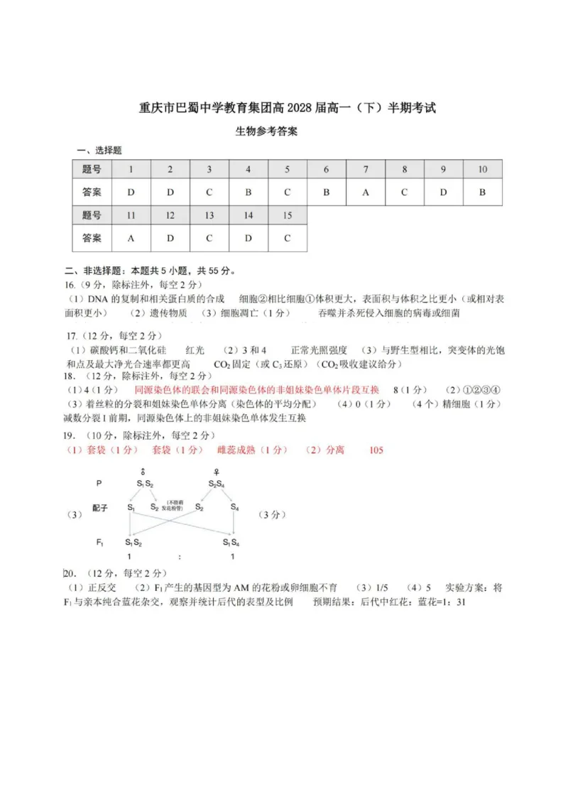 《2028届重庆市巴蜀中学高一下学期期中考试生物试卷及答案28届巴蜀中学高一下期中考试生物答案_2024-2027高一（7-7月题库）(1)_2026年06月高一试卷》第1页预览