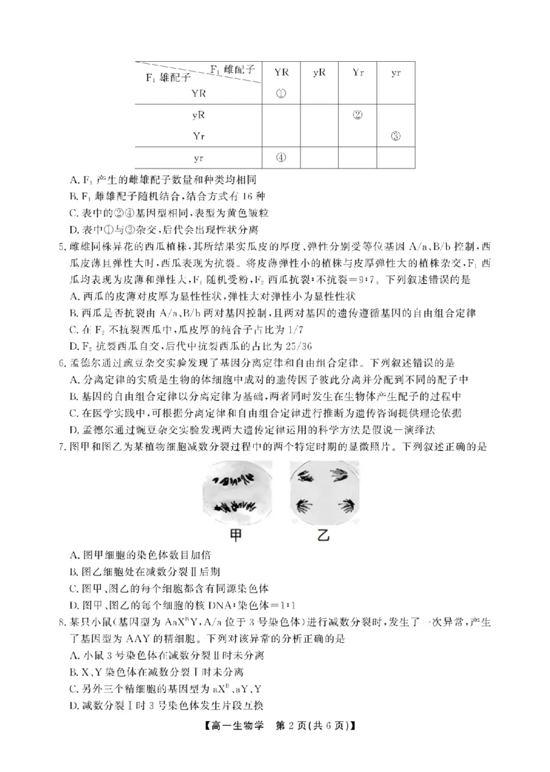 《安徽省池州市鼎尖教育联盟2025-2026学年高一下学期期中考试生物试题_2024-2027高一(7-7月题库)(1)_2026年05月高一试卷》第2页预览