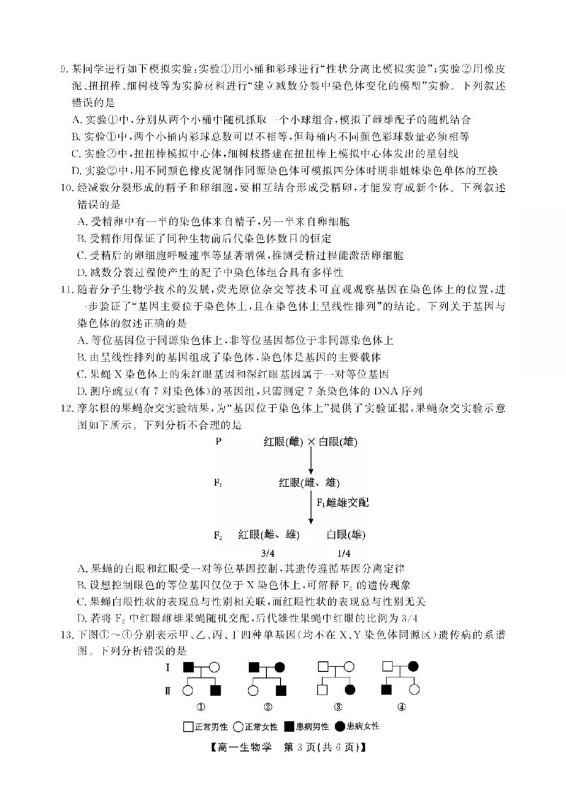 《安徽省池州市鼎尖教育联盟2025-2026学年高一下学期期中考试生物试题_2024-2027高一(7-7月题库)(1)_2026年05月高一试卷》第3页预览