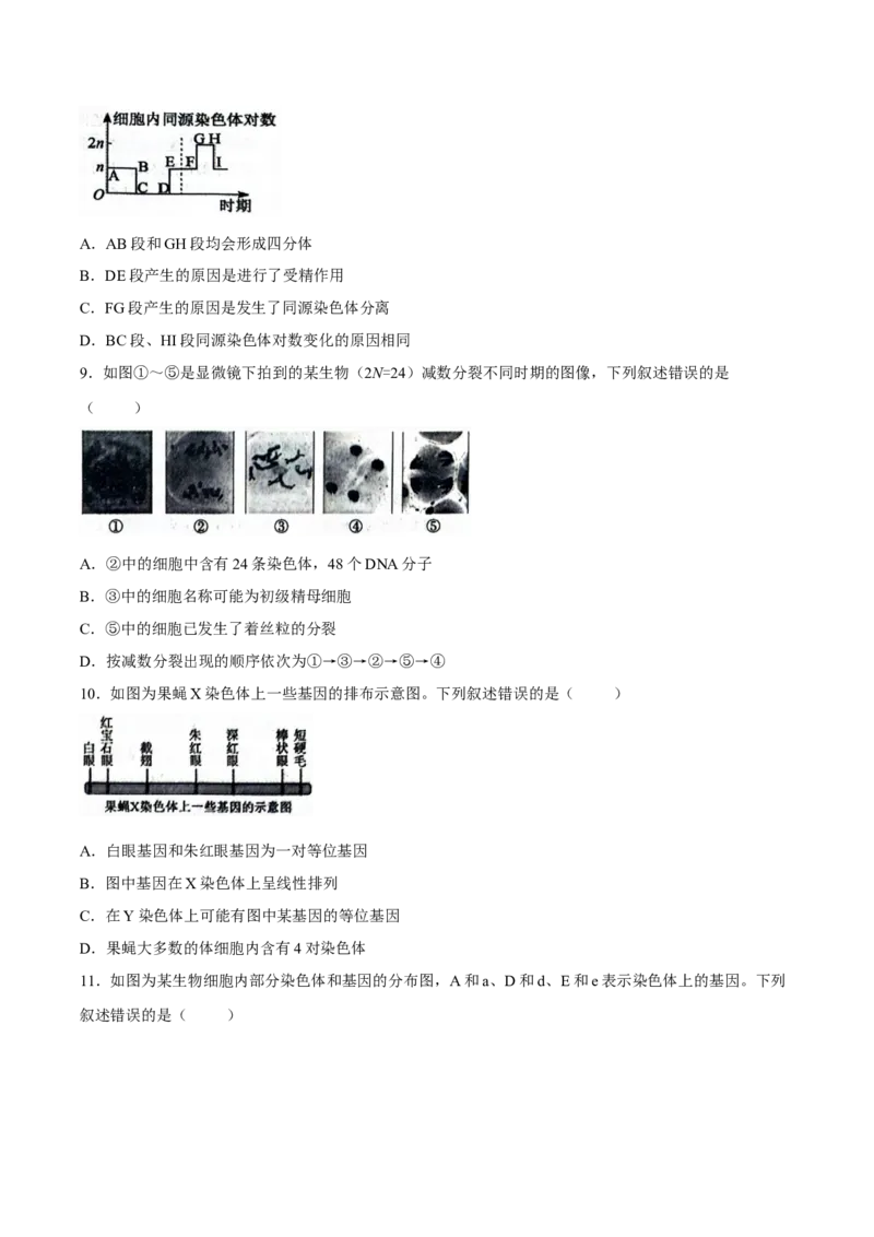 《山东省济宁市兖州区2025-2026学年高一下学期期中考试生物Word版含答案_2024-2027高一（7-7月题库）(1)_2026年05月高一试卷_260526山东省济宁市兖州区2025-2026学年高一下学期期中考试（全）》第3页预览