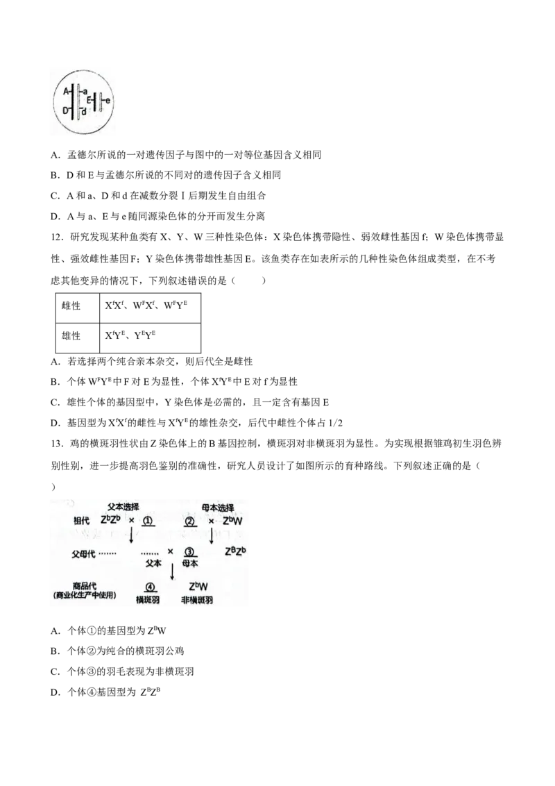 《山东省济宁市兖州区2025-2026学年高一下学期期中考试生物Word版含答案_2024-2027高一（7-7月题库）(1)_2026年05月高一试卷_260526山东省济宁市兖州区2025-2026学年高一下学期期中考试（全）》第4页预览
