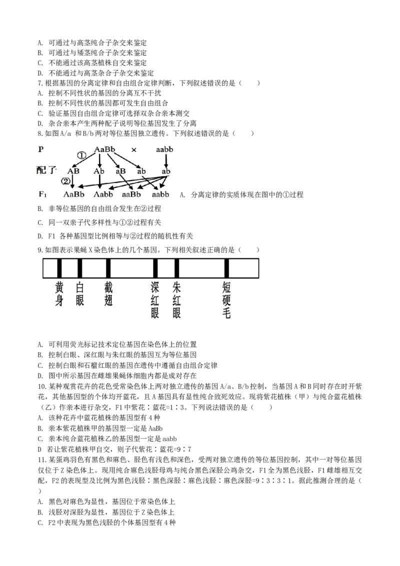 《四川省内江市第一中学2025-2026学年高一下学期期中考试生物试题（含答案）_2024-2027高一（7-7月题库）(1)_2026年05月高一试卷》第2页预览