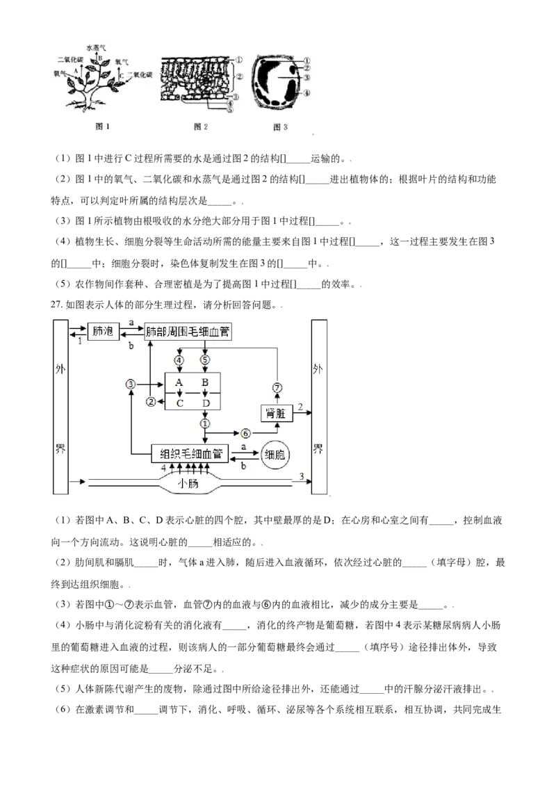 《2019年辽宁省鞍山市中考生物试题（空白卷）_12.2026年4月全国各地高考模拟卷_2026版初中金考卷•45套中考试卷汇编系列合集_全国版中考真题(1)_辽宁各地中考_辽宁生物（24）》第4页预览