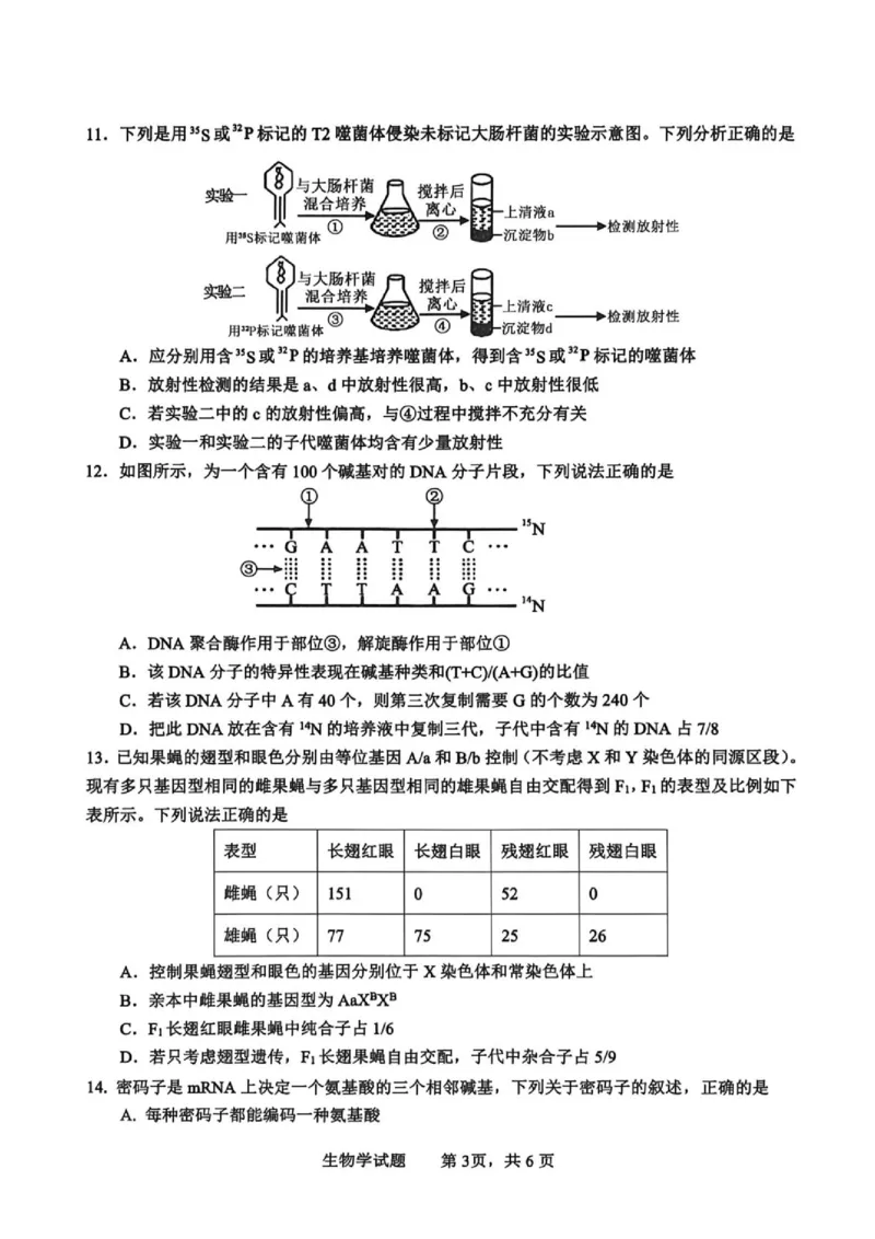 《2026年春期高中共同体高一半期素养评价生物学_2024-2027高一(7-7月题库)(1)_2026年05月高一试卷_260524四川泸州市泸县普通高中共同体2025-2026学年高一下学期素养评价》第3页预览