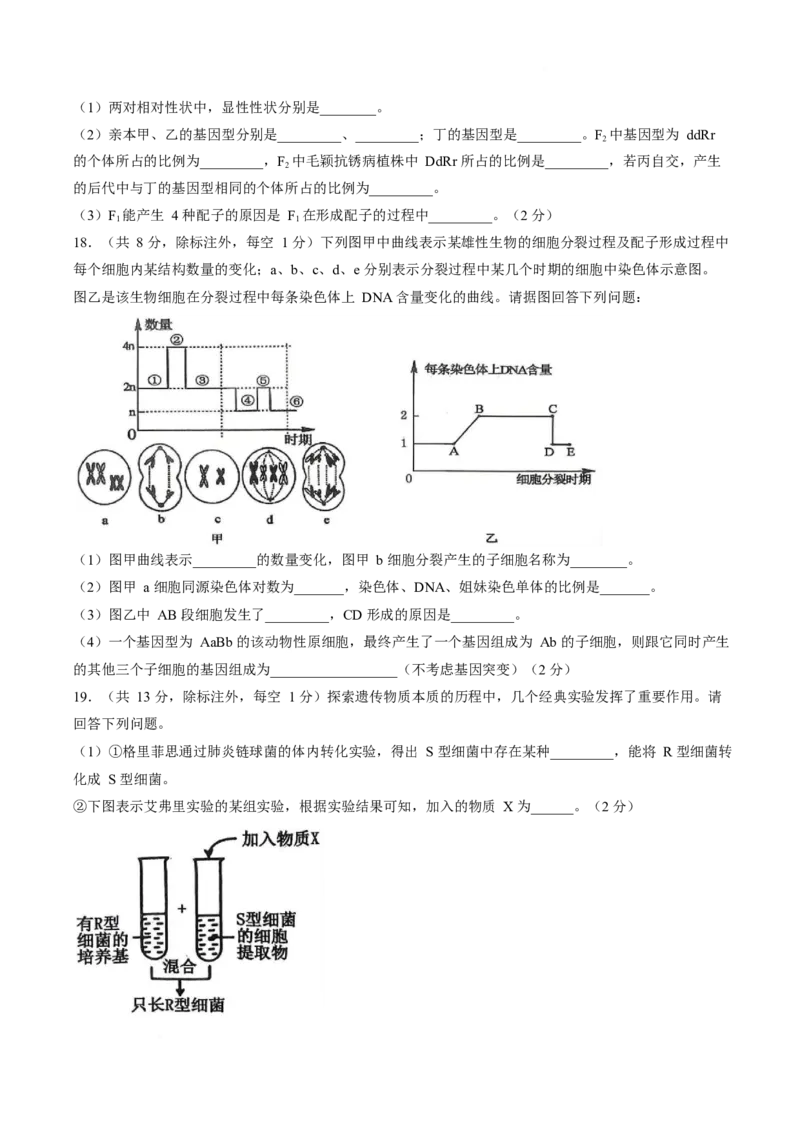 《山西省晋城市部分学校2025-2026学年高一下学期6月月考生物试卷（含答案）_2024-2027高一（7-7月题库）(1)_2026年06月高一试卷》第5页预览