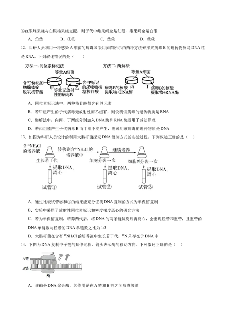 《山西省太原市第五中学2025-2026学年高一下学期期中考试生物Word版含答案_2024-2027高一（7-7月题库）(1)_2026年06月高一试卷_260612山西省太原市第五中学2025-2026学年高一下学期期中考试》第4页预览