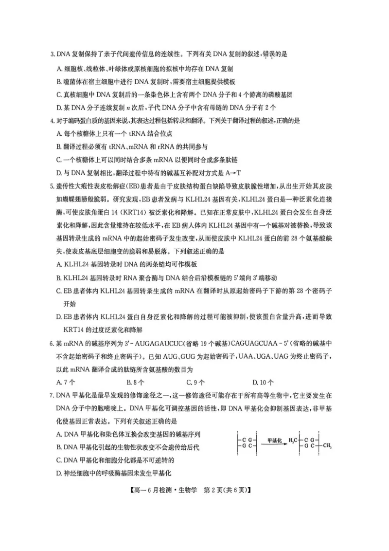 《河南省洛阳市洛阳强基联盟2025-2026学年高一下学期6月阶段测试生物_2024-2027高一(7-7月题库)(1)_2026年06月高一试卷_260615河南省洛阳市强基联盟2025-2026学年高一下学期6月阶段检测(全)》第2页预览