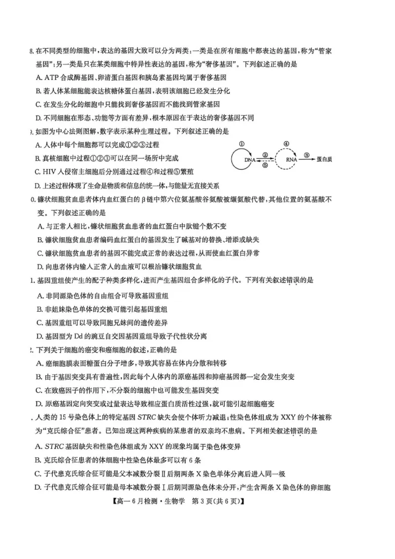 《河南省洛阳市洛阳强基联盟2025-2026学年高一下学期6月阶段测试生物_2024-2027高一(7-7月题库)(1)_2026年06月高一试卷_260615河南省洛阳市强基联盟2025-2026学年高一下学期6月阶段检测(全)》第3页预览