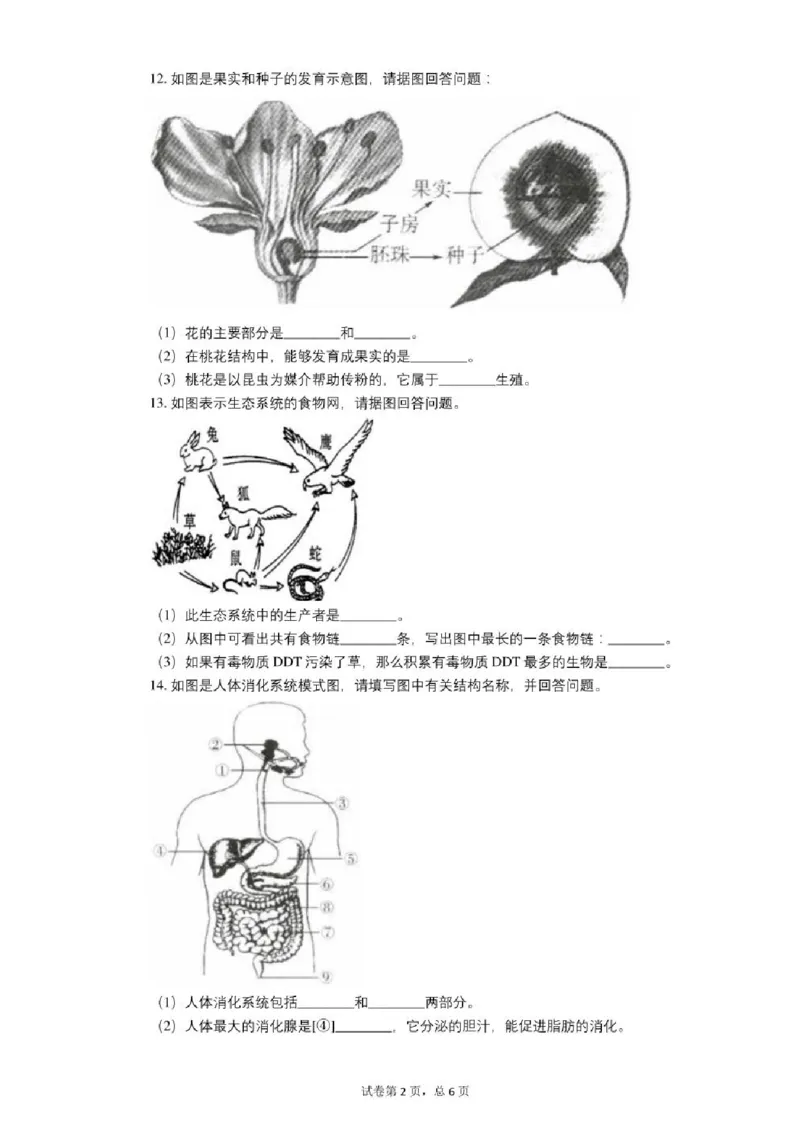 《2020年辽宁省本溪市中考生物试卷及答案——暂只找到此PDF版本_12.2026年4月全国各地高考模拟卷_2026版初中金考卷•45套中考试卷汇编系列合集_全国版中考真题(1)_辽宁各地中考》第2页预览