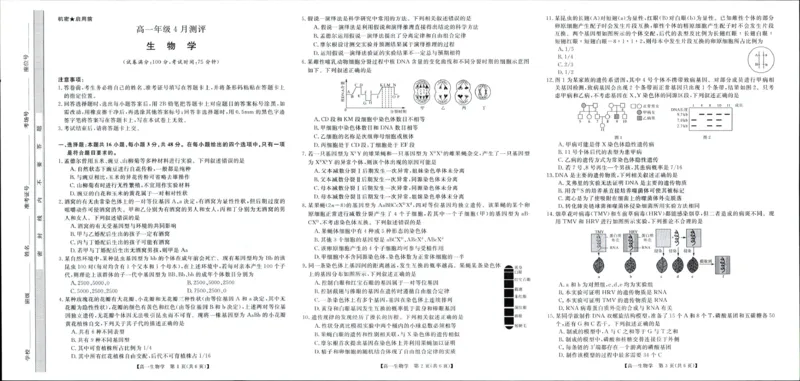 《河南南阳市新未来联考2025-2026学年高一下学期4月期中测评生物试题_2024-2027高一(7-7月题库)(1)_2026年05月高一试卷_260506河南南阳市新未来联考2025-2026学年高一下学期4月期中测评(全)》第1页预览