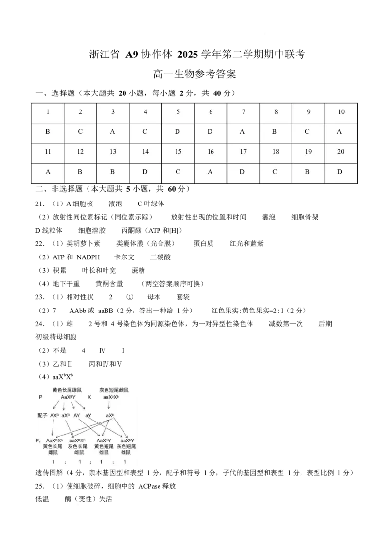《浙江省A9协作体2025-2026学年高一下学期期期中考试生物答案_2024-2027高一（7-7月题库）(1)_2026年05月高一试卷_260517浙江省A9协作体2025-2026学年高一下学期期中联考（全）》第1页预览