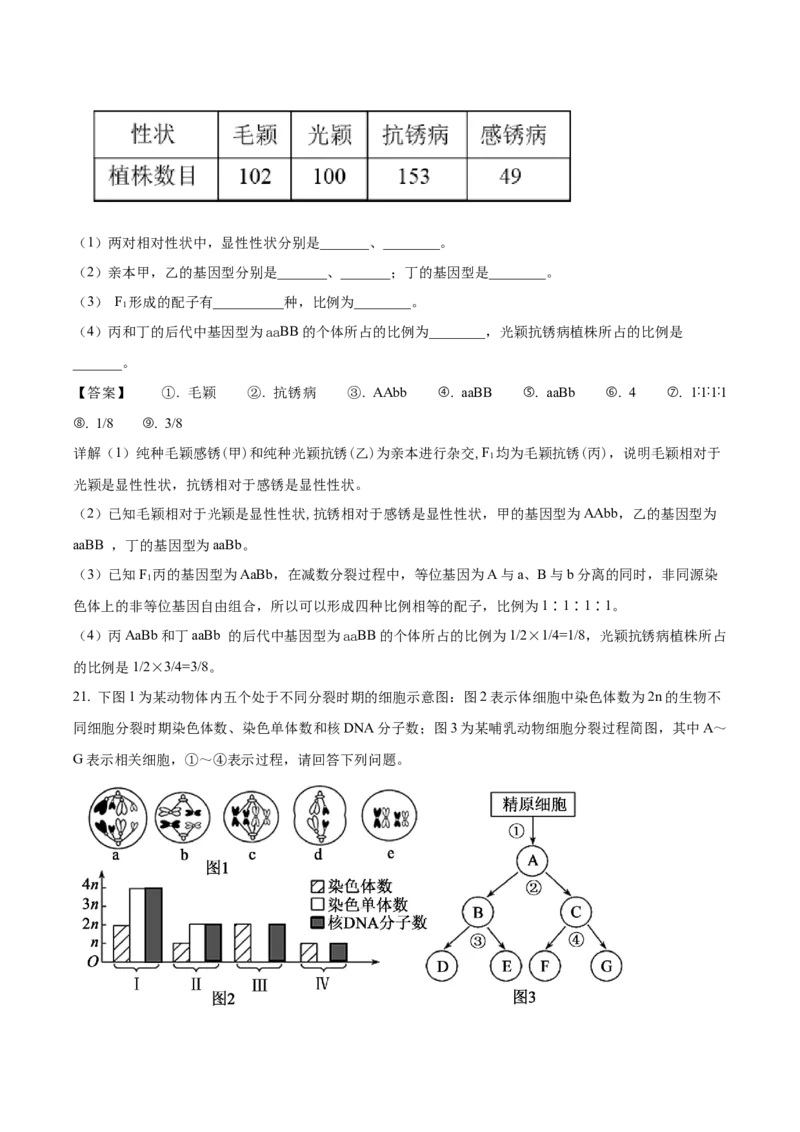 《江苏省盐城市五校联盟2025-2026学年高一下学期4月期中考试生物Word版含答案_2024-2027高一（7-7月题库）(1)_2026年05月高一试卷》第7页预览