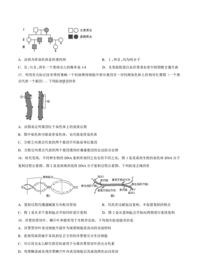 《江苏省海安高级中学2025-2026学年高一下学期期中考试生物试卷_2024-2027高一（7-7月题库）(1)_2026年06月高一试卷_260601江苏省海安高级中学2025-2026学年高一下学期期中考试（全）》第5页预览