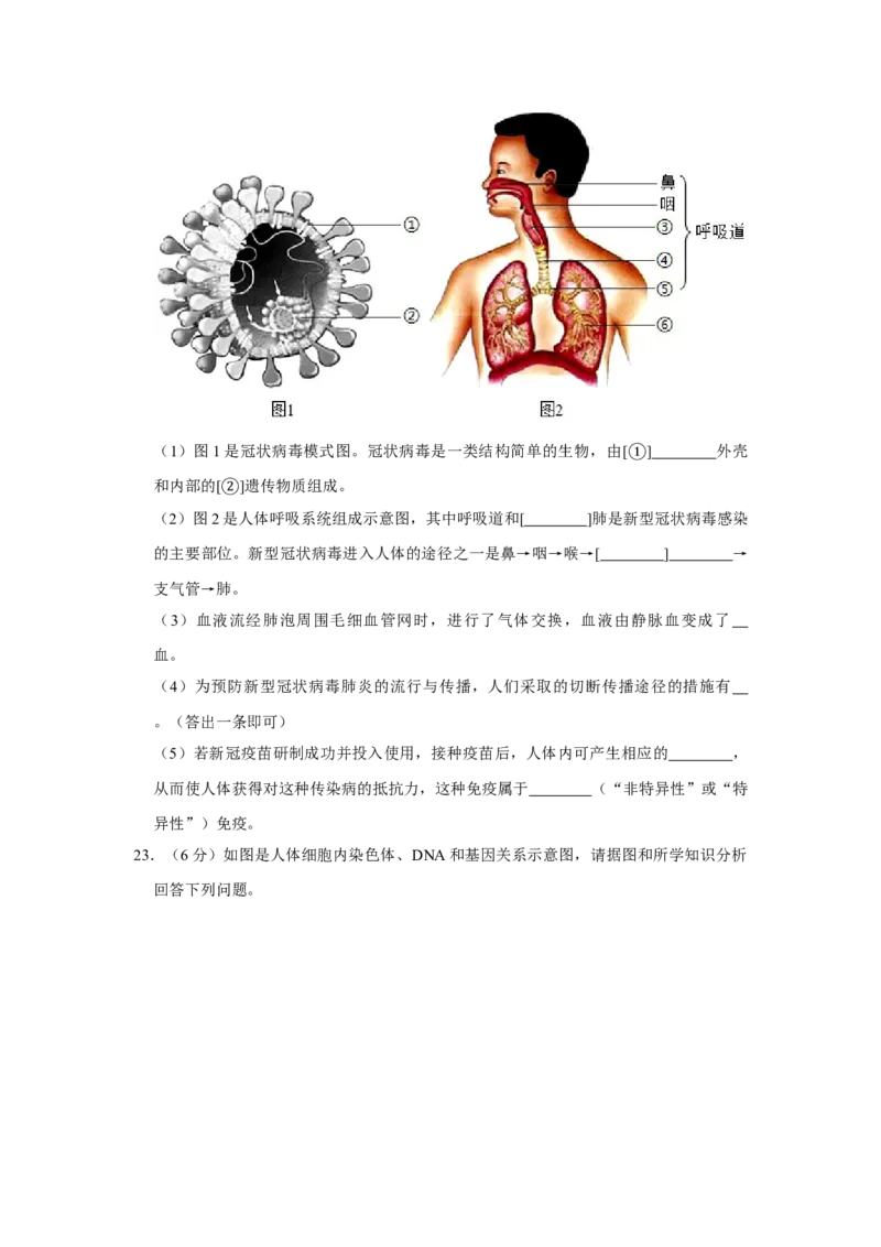 《2020年辽宁省大连市中考生物试卷（word版，含解析）_12.2026年4月全国各地高考模拟卷_2026版初中金考卷•45套中考试卷汇编系列合集_全国版中考真题(1)_辽宁各地中考_辽宁生物（24）》第4页预览