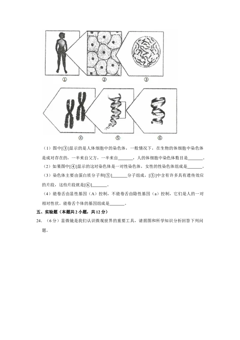 《2020年辽宁省大连市中考生物试卷（word版，含解析）_12.2026年4月全国各地高考模拟卷_2026版初中金考卷•45套中考试卷汇编系列合集_全国版中考真题(1)_辽宁各地中考_辽宁生物（24）》第5页预览