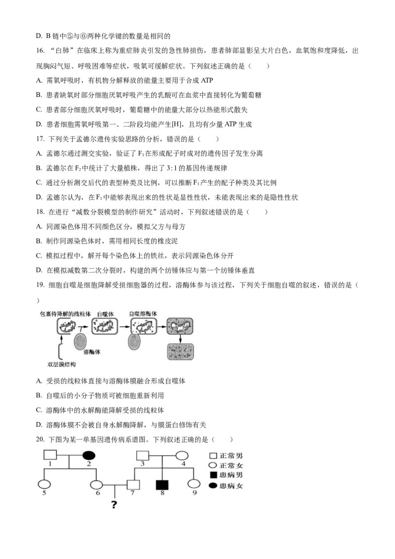 《浙江省北斗联盟2025—2026学年高一下学期期中联考生物试题（原卷版）_2024-2027高一（7-7月题库）(1)_2026年05月高一试卷_260521浙江省杭州北斗联盟2025-2026学年高一下学期4月期中联考（全）》第4页预览