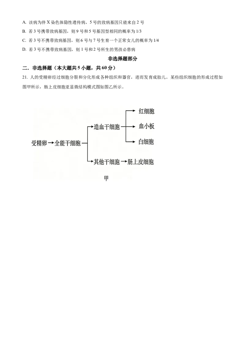 《浙江省北斗联盟2025—2026学年高一下学期期中联考生物试题（原卷版）_2024-2027高一（7-7月题库）(1)_2026年05月高一试卷_260521浙江省杭州北斗联盟2025-2026学年高一下学期4月期中联考（全）》第5页预览